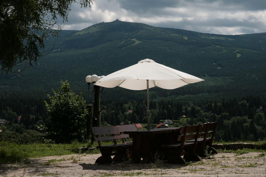 Czajka