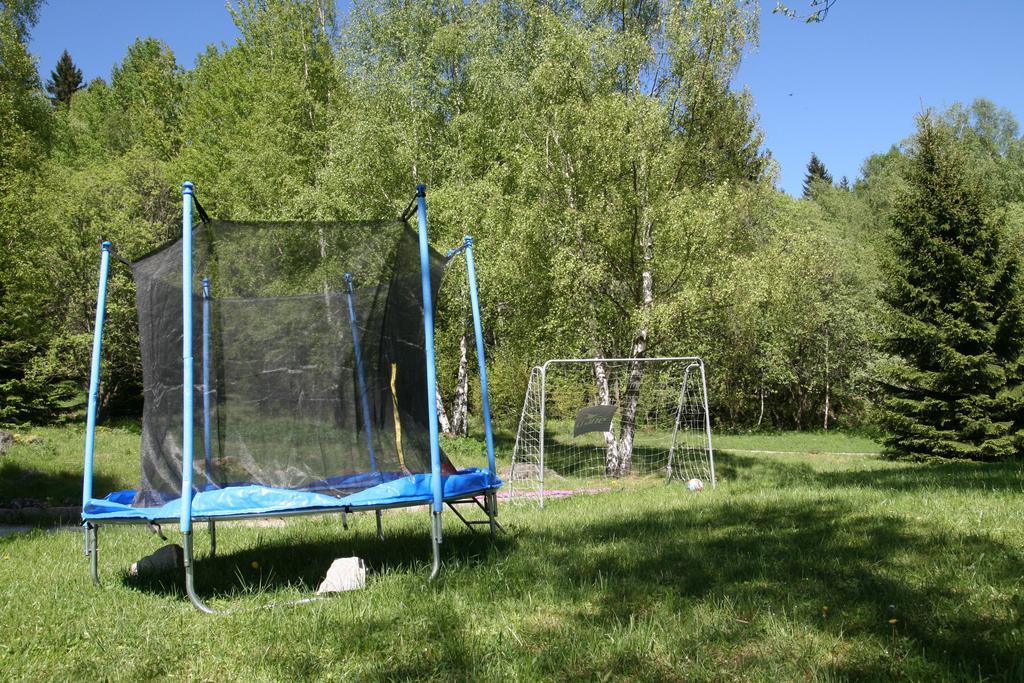 Czajka