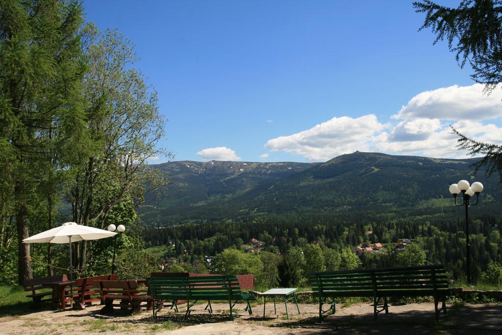 Czajka