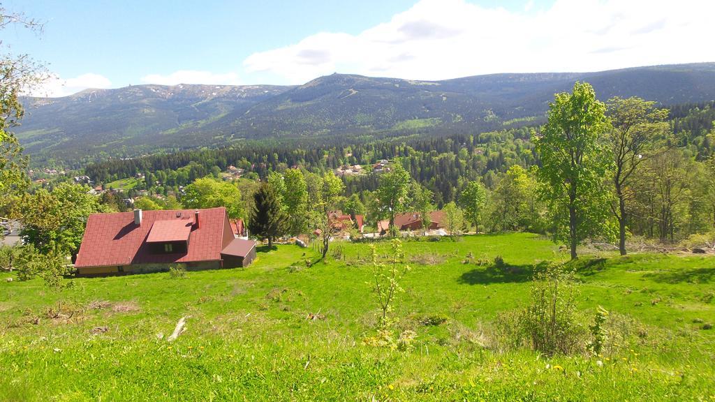 Czajka 2*