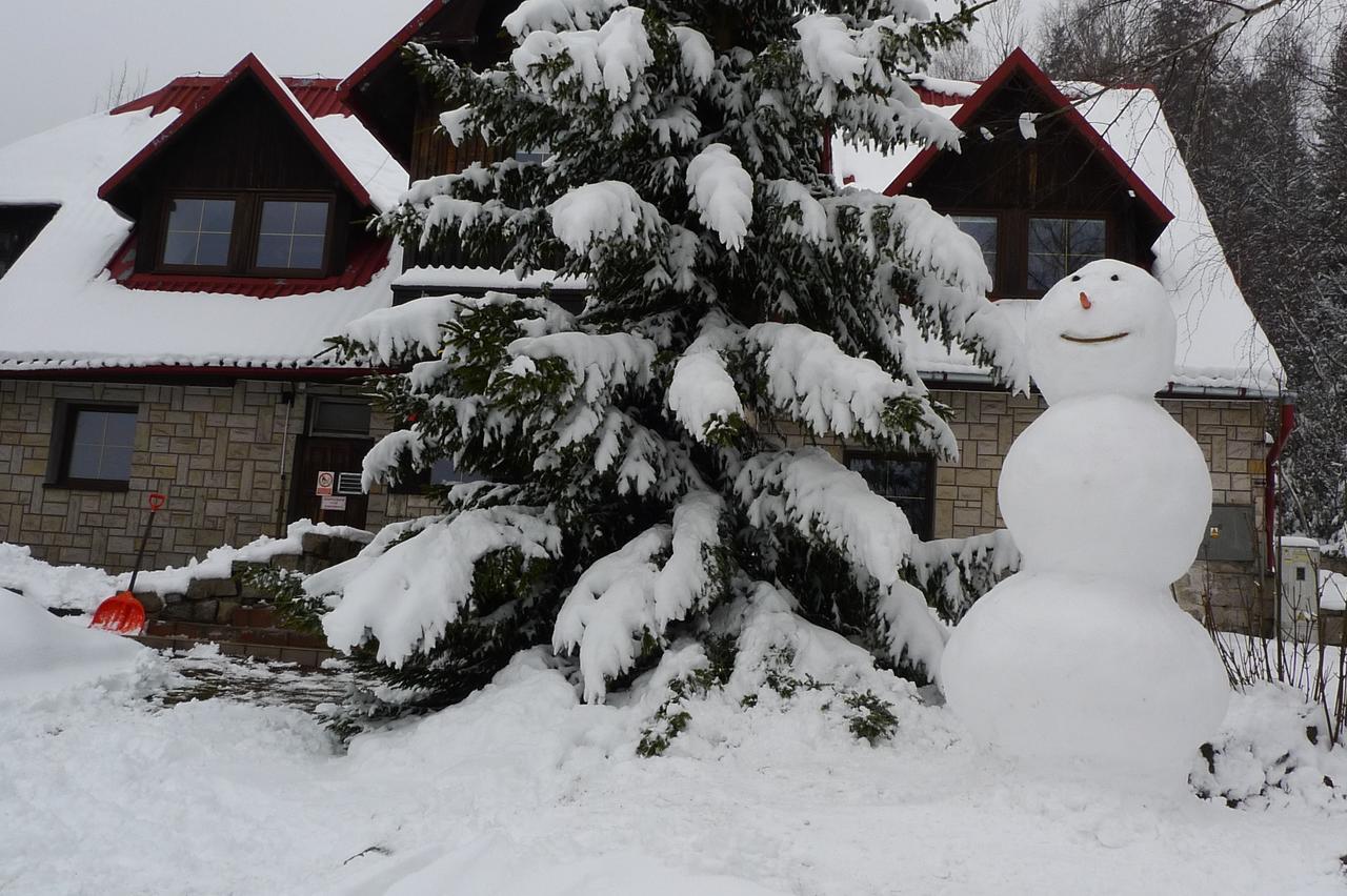 Bed and breakfast Czajka 2*