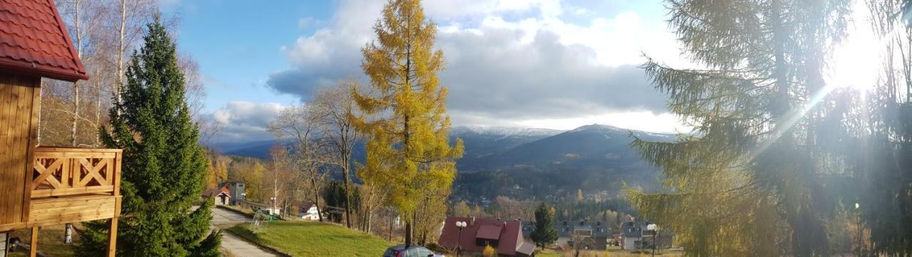 Bed and breakfast Czajka 2*